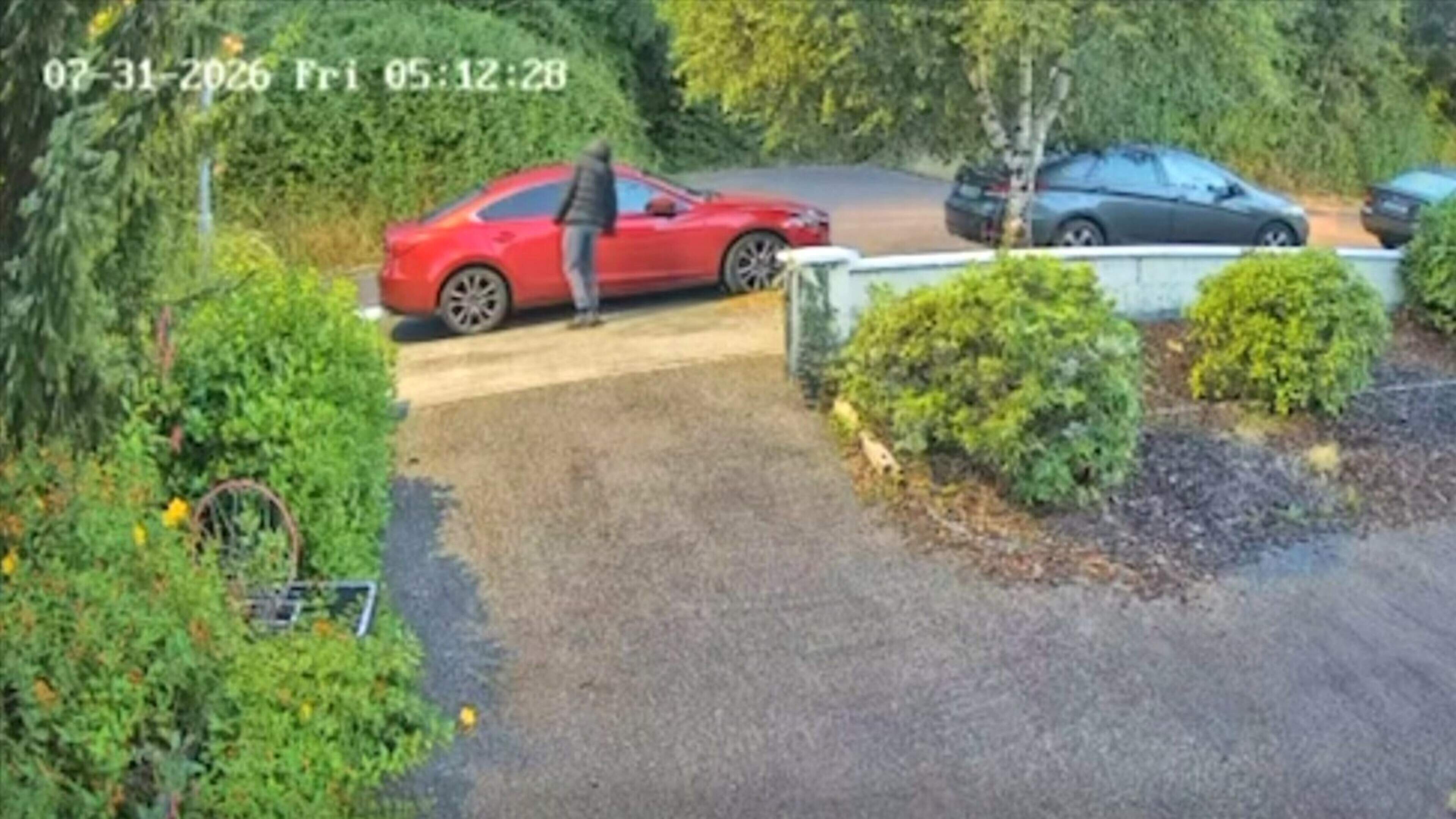 Wicklow gardaí investigate spate of thefts from cars in village
